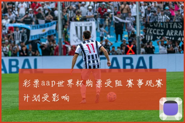 彩票aap世界杯购票受阻 赛事观赛计划受影响