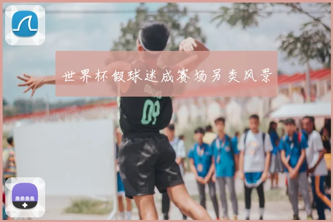 世界杯假球迷成赛场另类风景