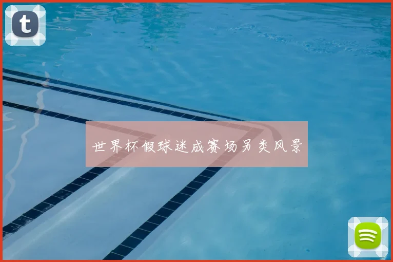 世界杯假球迷成赛场另类风景