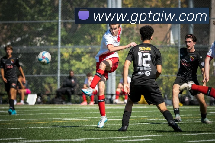 半岛网官网登录入口服务体系